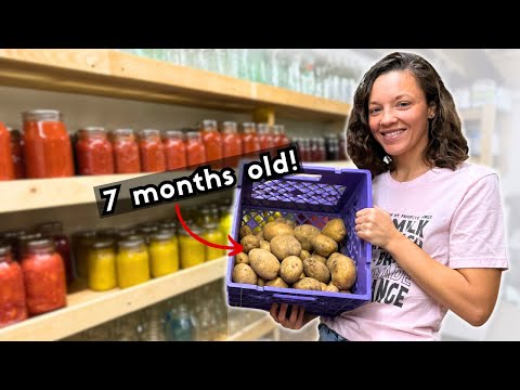 FULL TOUR of Our Basement Grocery Store (LATE WINTER Edition)